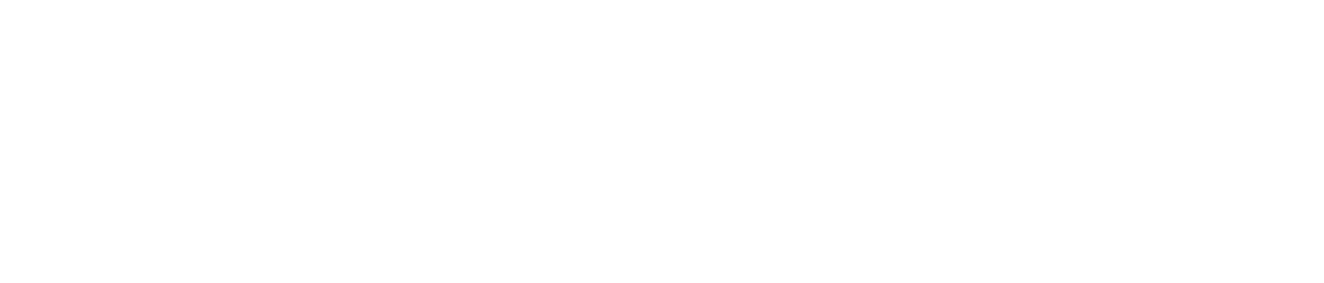 Polar Brew Logo